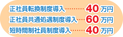 正社員転換制度導入 40万円　正社員共通処遇制度導入  60万円　短時間制社員制度導入 40万円